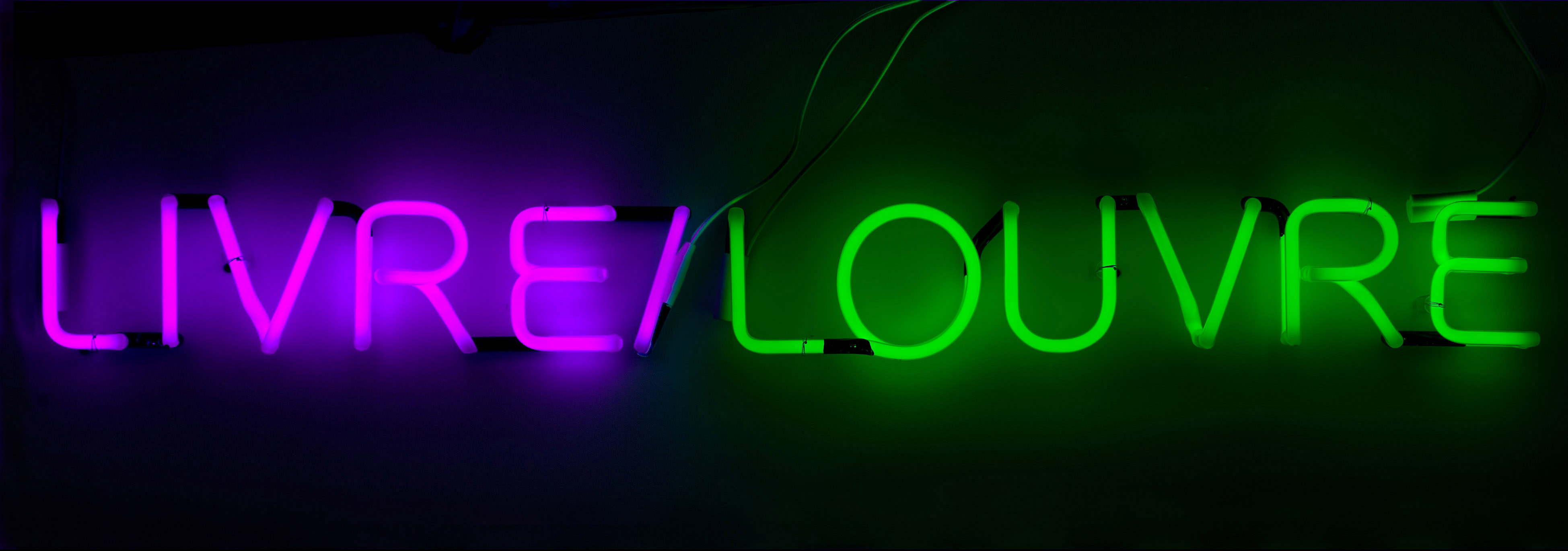 1-neon-livre-louvre